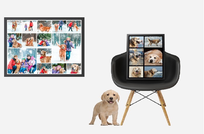 Pet Day Photo Gifts with CanvasChamp