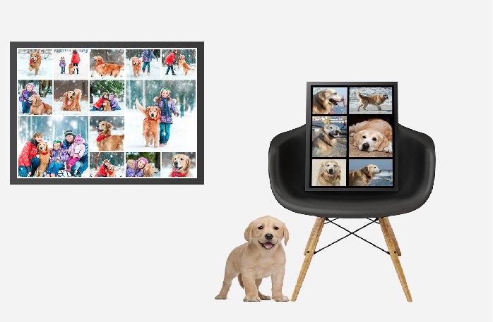 Pet Day Photo Gifts with CanvasChamp Pet Day Photo Gifts with CanvasChamp